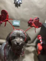 processed/1217a048-63c7-4676-afe4-01066ae065eb/listing/ff5fb944-9061-443c-a2c4-89fcaa42f0ed/017edd88-1691-44bc-8738-25e8154abc3f