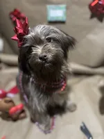 processed/1217a048-63c7-4676-afe4-01066ae065eb/listing/ff5fb944-9061-443c-a2c4-89fcaa42f0ed/46798a29-82ec-4790-8aaf-9db6e05ff058