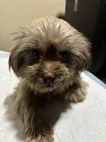 processed/1217a048-63c7-4676-afe4-01066ae065eb/listing/ff5fb944-9061-443c-a2c4-89fcaa42f0ed/604ac774-53ba-4964-80b5-8b8110b1a378