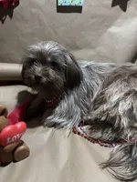 processed/1217a048-63c7-4676-afe4-01066ae065eb/listing/ff5fb944-9061-443c-a2c4-89fcaa42f0ed/9be8babc-1455-41d1-9049-be7fa410158a