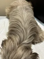 processed/1217a048-63c7-4676-afe4-01066ae065eb/listing/ff5fb944-9061-443c-a2c4-89fcaa42f0ed/9fcb64be-fe3a-406e-99e2-6e6cd8b73f90