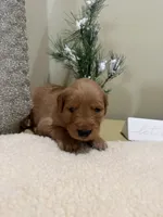 processed/121b655e-66f8-4f67-9022-d1f4fc5c1a13/listing/f1f503ce-02cf-4bbe-989d-85d10abd7732/3697eabc-0381-4677-9820-da783937afa5