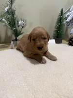 processed/121b655e-66f8-4f67-9022-d1f4fc5c1a13/listing/f1f503ce-02cf-4bbe-989d-85d10abd7732/5679e70f-79ab-4f16-8e7e-855749077122