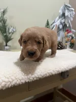 processed/121b655e-66f8-4f67-9022-d1f4fc5c1a13/listing/f1f503ce-02cf-4bbe-989d-85d10abd7732/7cda2be9-c0dd-4ae5-af7b-1fa3c8be9159