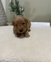 processed/121b655e-66f8-4f67-9022-d1f4fc5c1a13/listing/f1f503ce-02cf-4bbe-989d-85d10abd7732/a721e2e8-330f-4c1b-a60c-04c5e10d5936