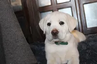 processed/1221c465-ee00-494c-8297-572fe7b0c667/listing/31f0b5b4-26e0-4c77-988d-74c6642a09f1/1ff6b75c-2fce-44a8-8c7e-2352dcdecc52