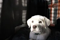 processed/1221c465-ee00-494c-8297-572fe7b0c667/listing/31f0b5b4-26e0-4c77-988d-74c6642a09f1/3d007a94-bd4c-44bf-bbcd-89a8aa572cf3