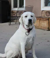 processed/1221c465-ee00-494c-8297-572fe7b0c667/listing/31f0b5b4-26e0-4c77-988d-74c6642a09f1/dc8e776c-8c7d-4327-8582-b67f340256a2