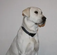 processed/1221c465-ee00-494c-8297-572fe7b0c667/listing/31f0b5b4-26e0-4c77-988d-74c6642a09f1/f11ec838-baab-4cda-8d20-071169cbcebf