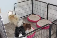 processed/1222553f-e49f-47e2-a33a-68380207973d/facility/119d7447-3846-493b-9b8b-56b62acc2927