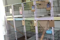 processed/1222553f-e49f-47e2-a33a-68380207973d/facility/82d73f73-754b-4e38-b2a8-ac446d99ccc6