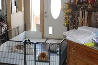 processed/1222553f-e49f-47e2-a33a-68380207973d/facility/b45181cc-b780-4801-be47-aee931d5e419