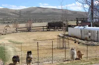 processed/1222553f-e49f-47e2-a33a-68380207973d/facility/fdb7c52b-7654-4009-819d-45c5e3ca2c86