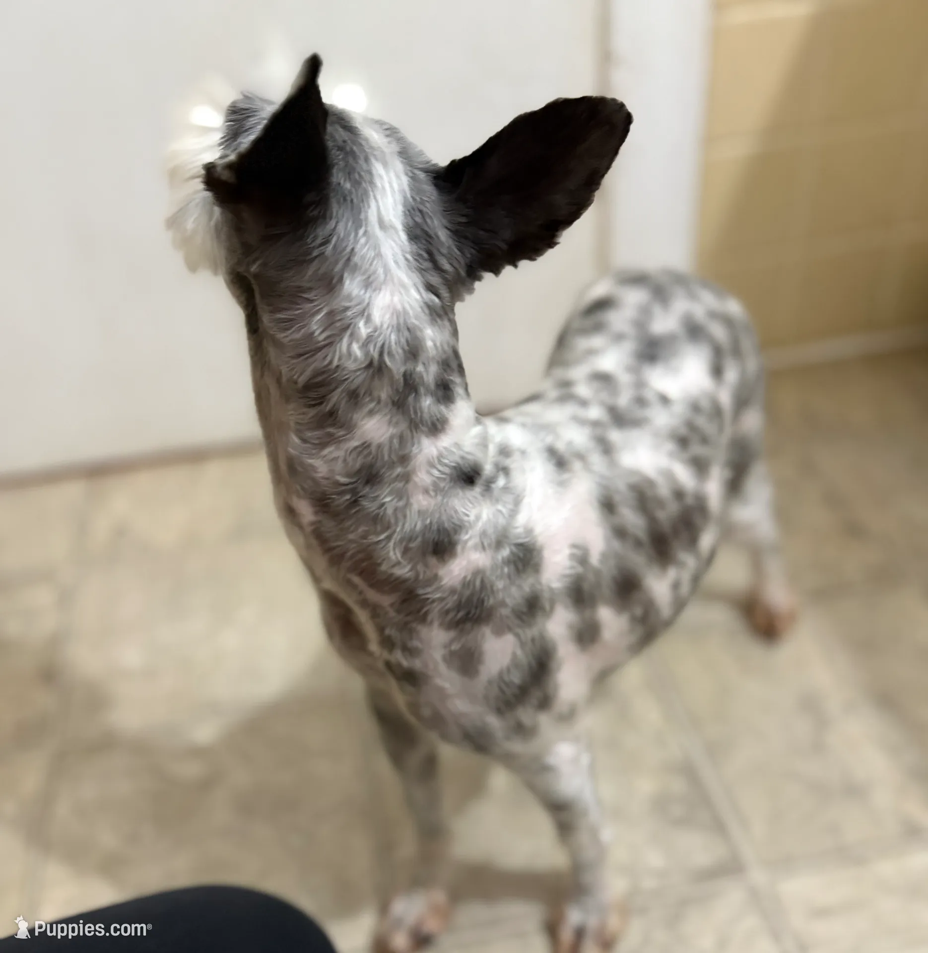 processed/122727ac-629a-4a4b-9832-323624e1edc3/listing/0a4635bb-4525-4a98-be18-cf9e2ba1e74c/2e0ab451-2cdd-4a93-916a-a0ad79494000