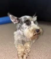 processed/122727ac-629a-4a4b-9832-323624e1edc3/listing/0a4635bb-4525-4a98-be18-cf9e2ba1e74c/9febd61e-18e0-4fd8-94bd-a8c1a94403db