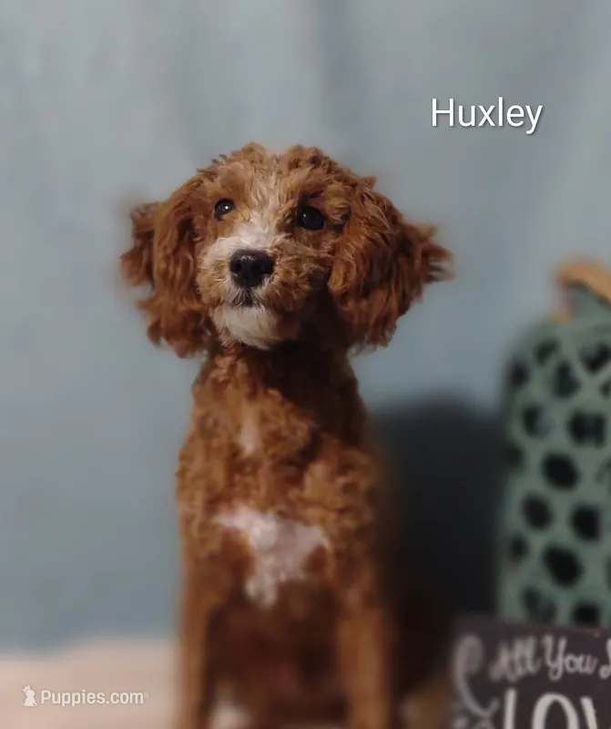 Huxley