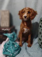 processed/122c7cf3-cd5b-4427-94e6-f326848e0cb7/listing/6df80f2f-65e5-4bb7-b6c1-f760f35fc756/6e666987-0c2a-4c9a-b38c-5ece88e4c978