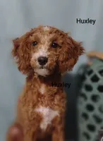 processed/122c7cf3-cd5b-4427-94e6-f326848e0cb7/listing/6df80f2f-65e5-4bb7-b6c1-f760f35fc756/bee5d4ac-114b-47c9-8b14-a634ad3f4407