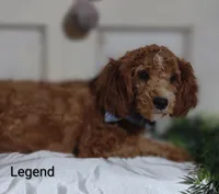 processed/122c7cf3-cd5b-4427-94e6-f326848e0cb7/listing/afba4a18-ac13-45a5-a35f-b4a50568d156/17d18878-c1e4-4240-9b28-d448f9fe772c