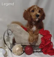 processed/122c7cf3-cd5b-4427-94e6-f326848e0cb7/listing/afba4a18-ac13-45a5-a35f-b4a50568d156/44c7d878-157d-4c0f-be8e-fd4f063f37f6