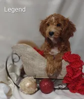 processed/122c7cf3-cd5b-4427-94e6-f326848e0cb7/listing/afba4a18-ac13-45a5-a35f-b4a50568d156/48248311-5920-47e8-aacf-9fa54edfd31f