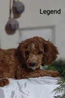 processed/122c7cf3-cd5b-4427-94e6-f326848e0cb7/listing/afba4a18-ac13-45a5-a35f-b4a50568d156/a2405829-e8be-4d45-be10-981c9821e08f