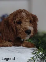 processed/122c7cf3-cd5b-4427-94e6-f326848e0cb7/listing/afba4a18-ac13-45a5-a35f-b4a50568d156/c6665566-ab8b-4b17-a427-714dcad4b224