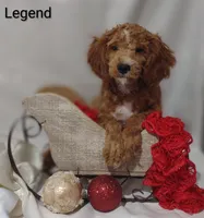 processed/122c7cf3-cd5b-4427-94e6-f326848e0cb7/listing/afba4a18-ac13-45a5-a35f-b4a50568d156/d1e737ab-8d4d-4333-8e96-ea7110660181