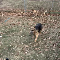 processed/122f4f7f-bcae-425f-a825-f4296fec7802/facility/0f60fed7-a54b-48a0-a1bc-26ceb9edcc8d