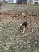 processed/122f4f7f-bcae-425f-a825-f4296fec7802/facility/0f60fed7-a54b-48a0-a1bc-26ceb9edcc8d