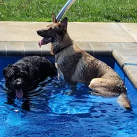 processed/122f4f7f-bcae-425f-a825-f4296fec7802/facility/2614f9d7-22c5-4eac-a8c3-2027055e1502