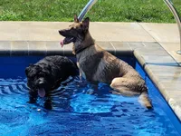 processed/122f4f7f-bcae-425f-a825-f4296fec7802/facility/2614f9d7-22c5-4eac-a8c3-2027055e1502