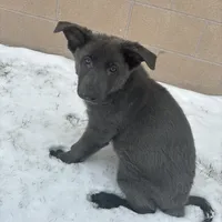 processed/122f4f7f-bcae-425f-a825-f4296fec7802/facility/39b3ea5a-b0ac-4ad1-a66b-a6b009cc57b5