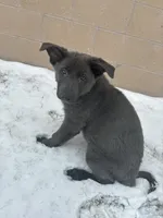 processed/122f4f7f-bcae-425f-a825-f4296fec7802/facility/39b3ea5a-b0ac-4ad1-a66b-a6b009cc57b5