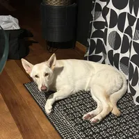 processed/122f4f7f-bcae-425f-a825-f4296fec7802/facility/69bf4329-92f6-409f-aefb-a632a848f961