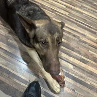 processed/122f4f7f-bcae-425f-a825-f4296fec7802/facility/aca00e63-ae7d-4e48-9ba3-b0b78165b56a