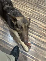 processed/122f4f7f-bcae-425f-a825-f4296fec7802/facility/aca00e63-ae7d-4e48-9ba3-b0b78165b56a