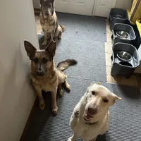 processed/122f4f7f-bcae-425f-a825-f4296fec7802/facility/caa9bd80-0a92-41ff-a914-0b40bf3f4b08