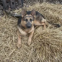 processed/122f4f7f-bcae-425f-a825-f4296fec7802/facility/ec5d3455-8a61-42cd-98f2-411b4be08f3f