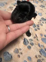 processed/122f4f7f-bcae-425f-a825-f4296fec7802/listing/e415a9df-e1b9-4cd2-bd29-452fac6d1c45/0ebcca50-b8b9-4de9-bd28-dd33c4a03551