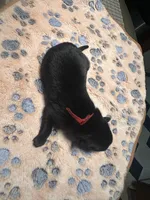 processed/122f4f7f-bcae-425f-a825-f4296fec7802/listing/e415a9df-e1b9-4cd2-bd29-452fac6d1c45/250cf9da-5919-4e94-bc1f-893e0f3f1fc9