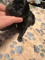 processed/122f4f7f-bcae-425f-a825-f4296fec7802/listing/e415a9df-e1b9-4cd2-bd29-452fac6d1c45/9e5501b4-9761-4be9-ae3f-2908461bf427