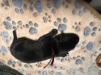 processed/122f4f7f-bcae-425f-a825-f4296fec7802/listing/e415a9df-e1b9-4cd2-bd29-452fac6d1c45/a0bd4187-a290-4a6e-b3be-9039cbf748a3