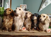 processed/12343499-f403-4a7a-8535-6febaa27ee12/facility/059acfcb-79d9-4961-b0b9-62ad8495f86a