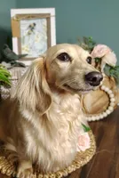 processed/12343499-f403-4a7a-8535-6febaa27ee12/facility/13344db3-d0da-40f0-8663-3950a5cc11d2