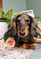 processed/12343499-f403-4a7a-8535-6febaa27ee12/facility/38a39ec4-a7ef-4410-a8dd-22c356740b6f