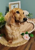 processed/12343499-f403-4a7a-8535-6febaa27ee12/facility/5357cf94-2c02-414c-b225-6fc0af2388ad