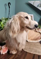 processed/12343499-f403-4a7a-8535-6febaa27ee12/facility/bc617865-20d4-4e71-9260-f7f374f61d95