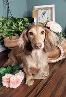 processed/12343499-f403-4a7a-8535-6febaa27ee12/facility/f41a0ce5-1aac-4199-86c7-455cb55853b8