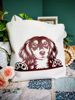 AKC Atlas, a male Miniature Dachshund for sale in Thomaston, GA – Photo 8 of 10